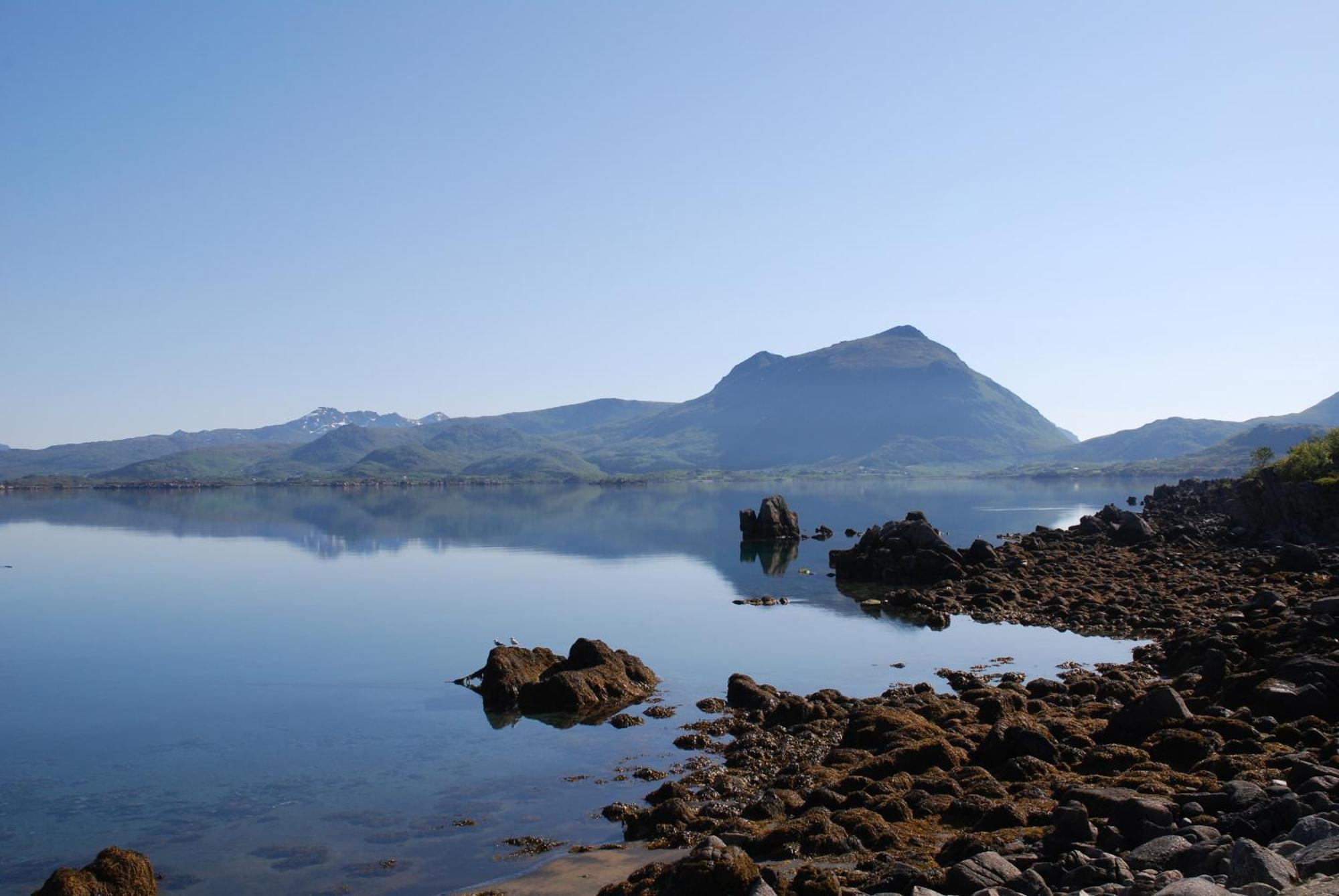 Fredelig Med Naturskjonn Omgivelse, Midt I Lofoten Ferienhaus Jerstad
